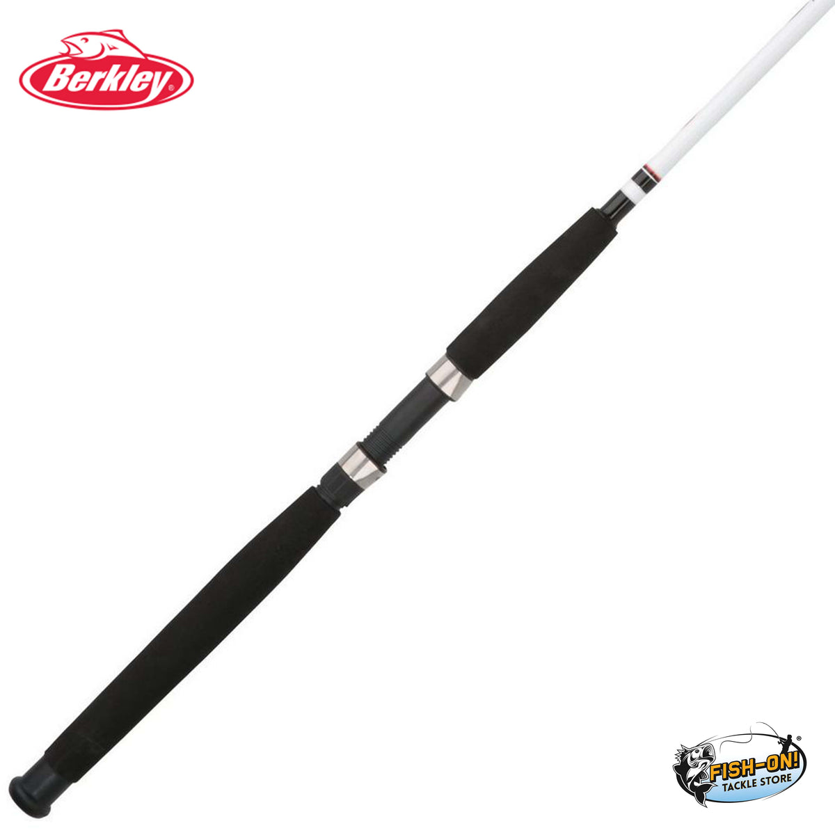 Brookliery Fish Rod Berkley Big Game Spinning Rod – Tough, Reliable & Budget-Friendly ...