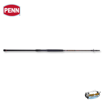 Penn Squadron III Surf Spinning Rod