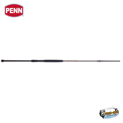 Penn Squadron III Surf Rod