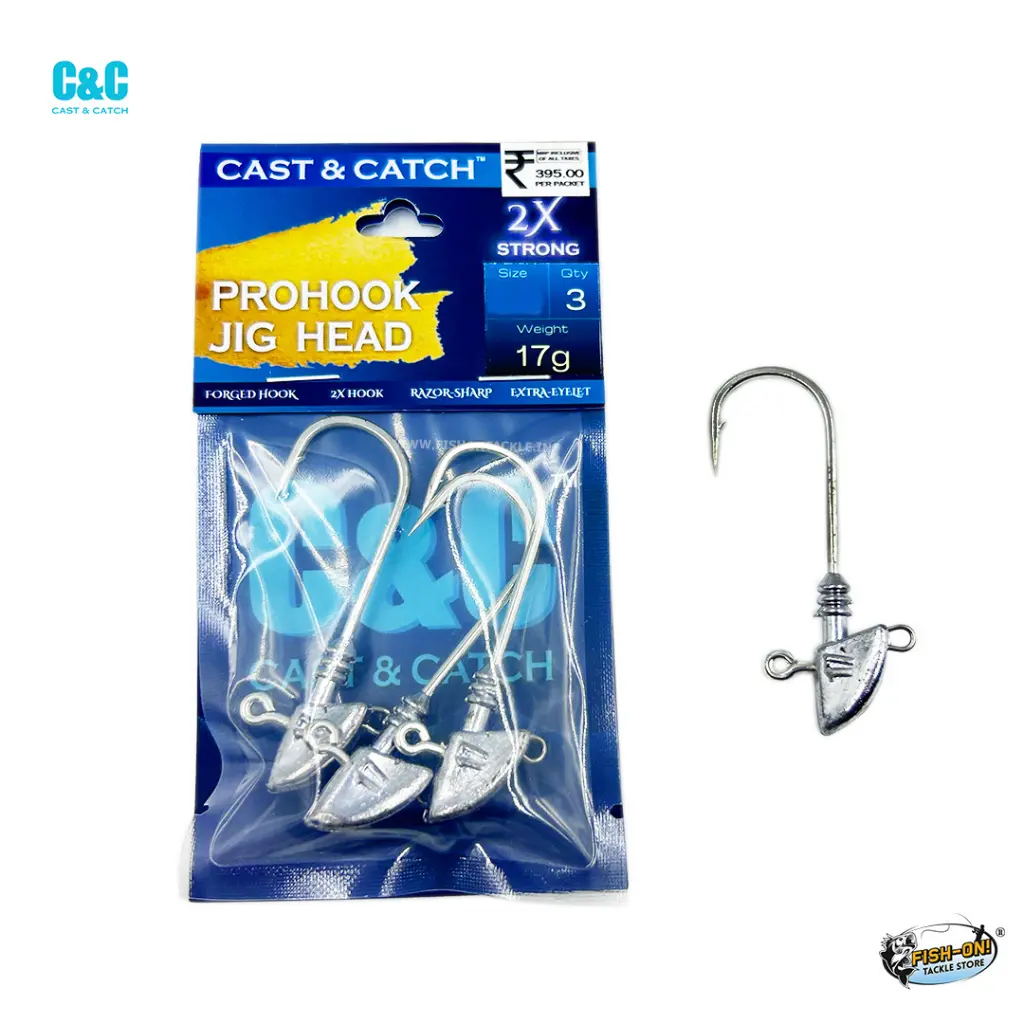WebsiteTemplet-Cast_Catch17g.webp