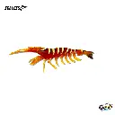 OrangeTiger.webp