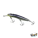 5.webp
