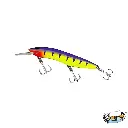 1.webp
