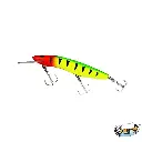 4.webp