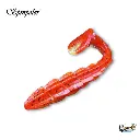 WWW.FISHONTACKLE.IN_6_5d15b0b1-1d29-49a3-823c-6606683f2bc5.webp